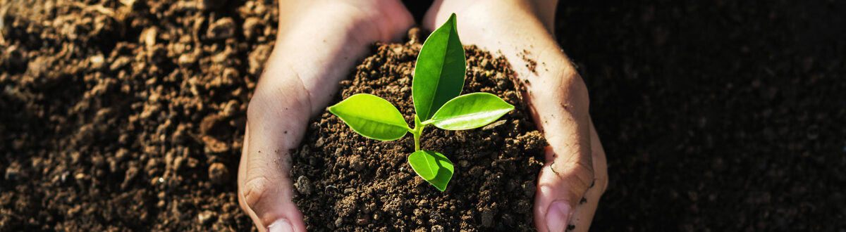 earth-day